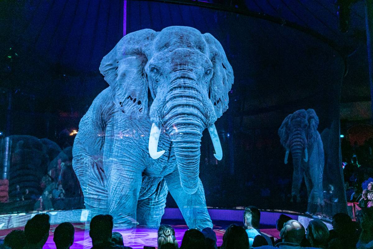 Circus Roncalli Verschont Echte Tiere Durch Hologramme Bildderfrau De